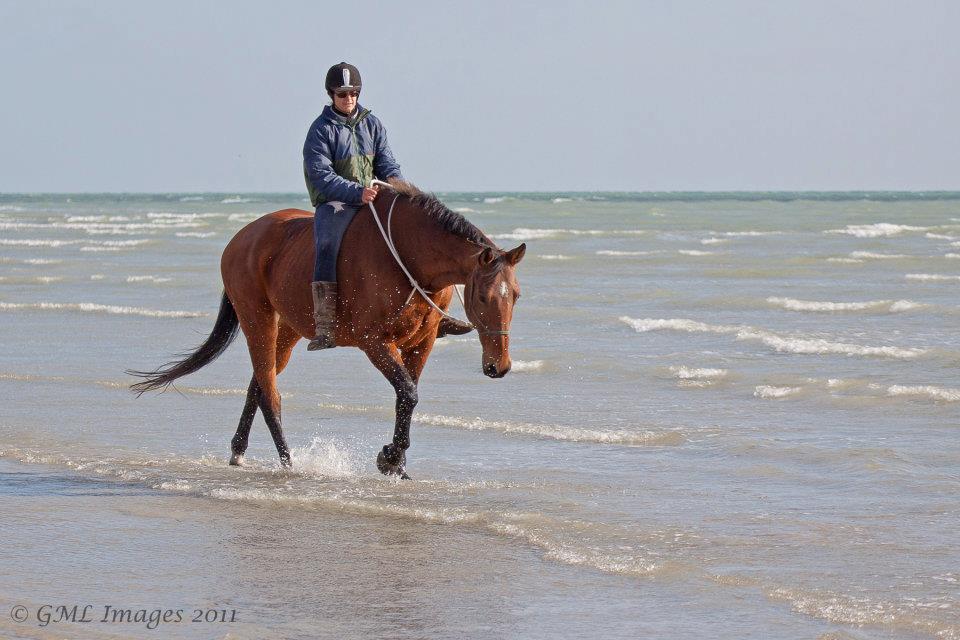 Beach Ride